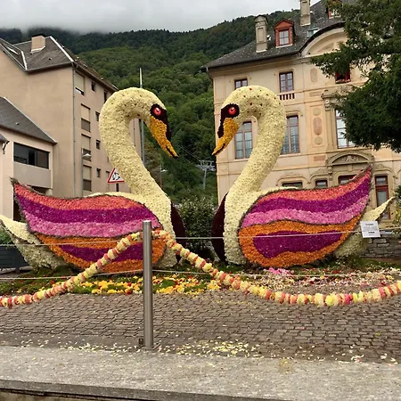 Luchon Holidays, Parking, Wifi, Balcon, Cave, T3 8 Personnes